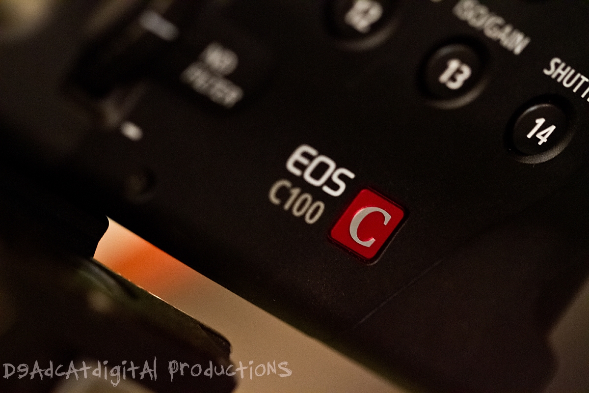 Vendégcikk: Canon EOS C100 teszt