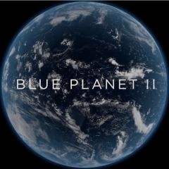 Munkaidő végére egy kis lazítás: Blue Planet II